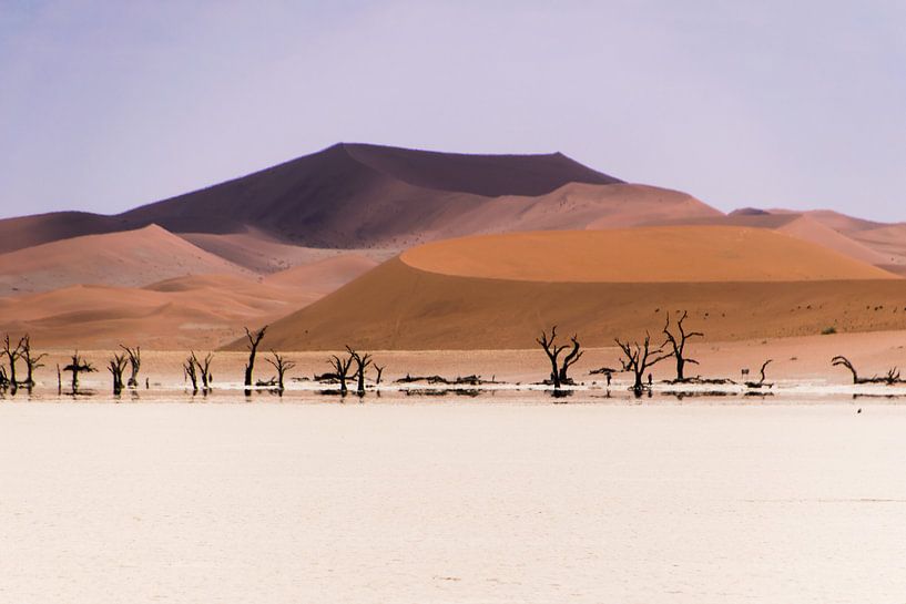 Rode zandduinen in Namibië par Denise van der Plaat