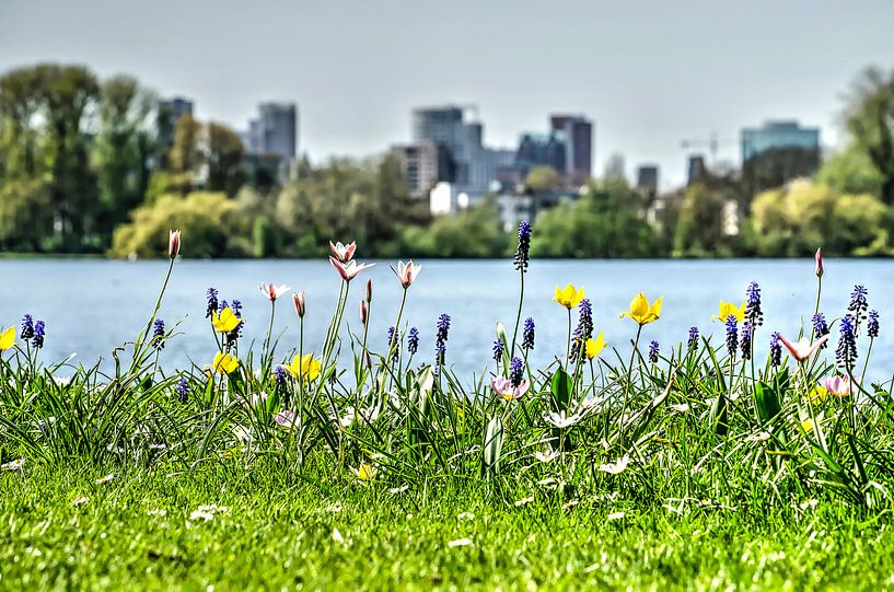 De lente, de Plas en de skyline van Frans Blok