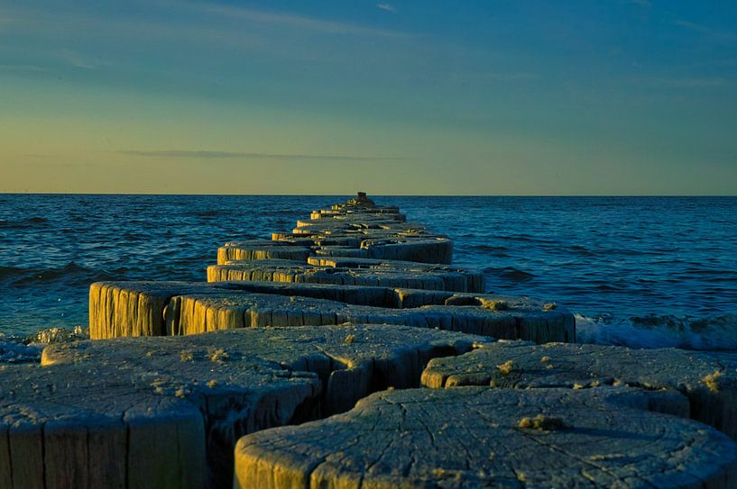 Kribben die in zee steken. Genomen in Zingst, aan de Darß. Het perspectief is gericht op de horizon van Martin Köbsch