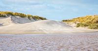 Texel dune area