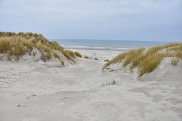 Zandduinen van Merel Pape Photography