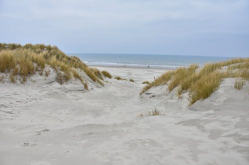 Sanddünen