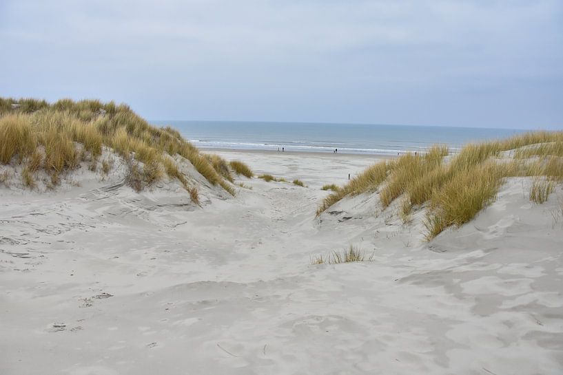 Sand dunes by Merel Pape Photography