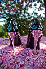 In the sea of flowers. by Norbert Sülzner