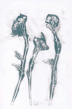 Moderne botanische kunst. Groenblauwe bloemen op wit van Dina Dankers