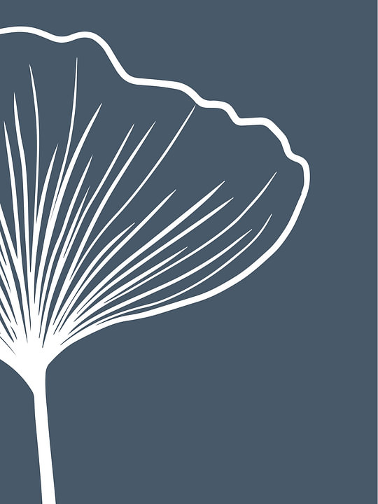 Dark Blue Botanical - Botanische Print van <span class="secondary-font">MDRN HOME</span>