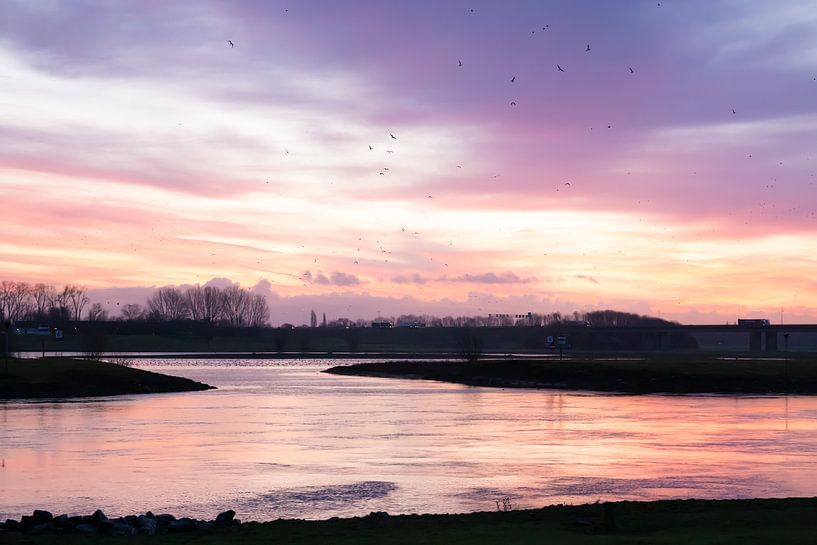 Sunrise at the water's edge by Linda Schellevis