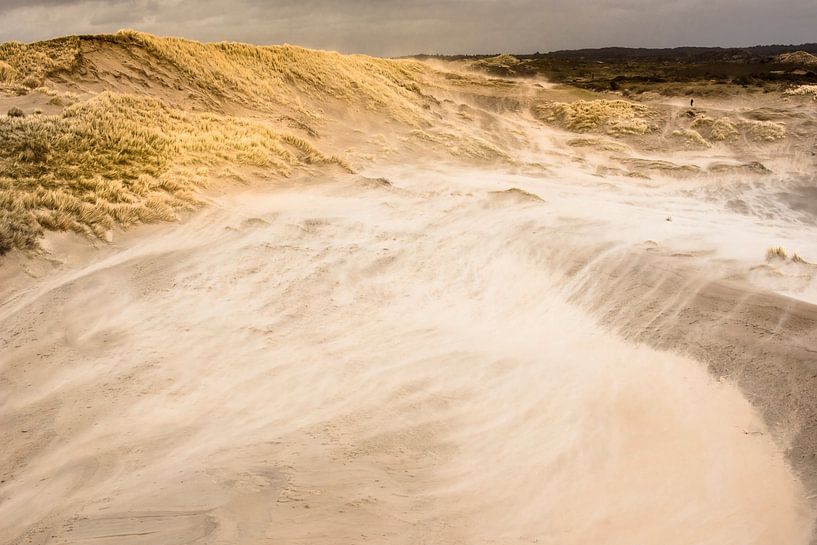 Dynamik eines Dünentals von Leendert Noordzij Photography