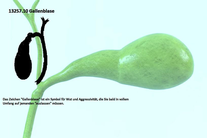 Gallenblase 13257.10 von Vladimir Zykunov