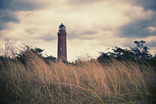 Leuchtturm Darßer Ort