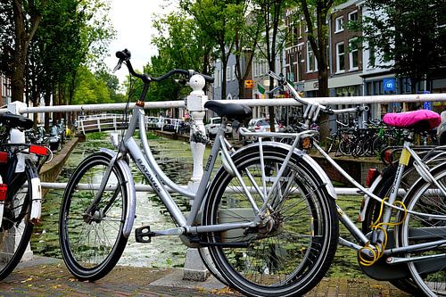 Een van vele