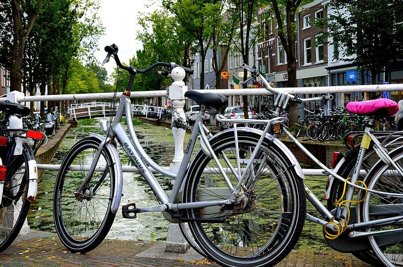 One of many by Frank's Awesome Travels