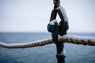 Block and rope on sailing ship S/V Noorderlicht by Martijn Smeets thumbnail