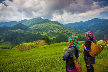 The breathtaking rice fields of Mu Cang Chai, Vietnam by Antwan Janssen