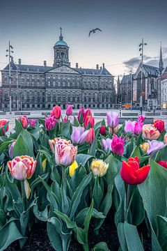 Tulpen am Dam-Platz von Etem Uyar