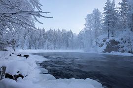 Finnish Lapland