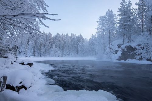Fins Lapland