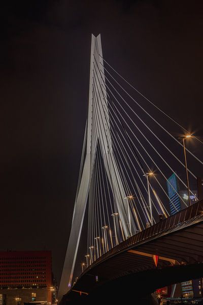 Rotterdam von Rob Saly
