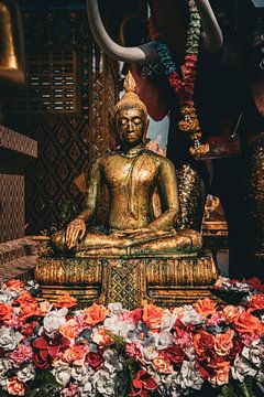 Boeddha in meditatie van Joanne Boerema