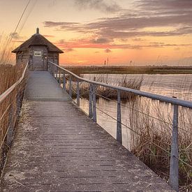 Cache-oiseaux Ilperveld sur John Leeninga