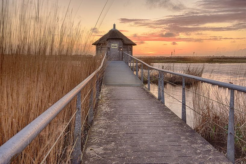 Cache-oiseaux Ilperveld par John Leeninga