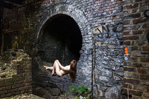 À travers le terrier du lapin