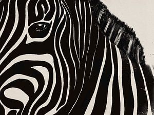 Zebra sur Studio Malabar
