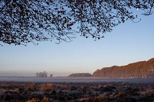 Planken Wambuis Teil 23