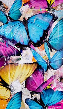 Butterfly Paradise van Michiel Folkers
