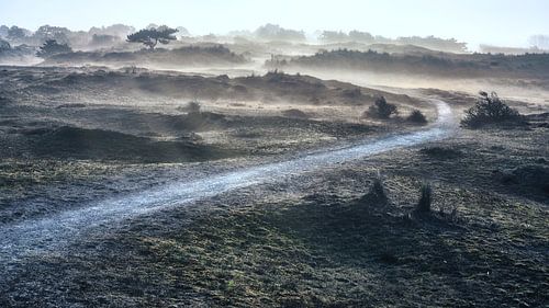 Dunes with fog along the North Holland coast by eric van der eijk
