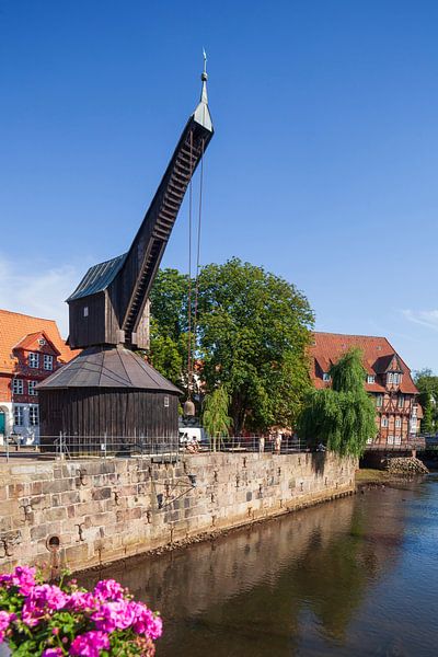 Oude kraan, Lüner molen, Ilmenau, Oude stad, Lüneburg, Nedersaksen, Duitsland, Europa van Torsten Krüger