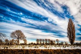 Paysage d'hiver avec arbres et neige et formation de nuages sur le Rhin près de Düsseldorf sur Dieter Walther