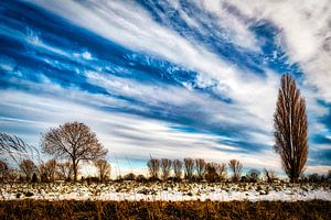 Winterlandschap met boom en sneeuw en wolkenpartij aan de Rijn bij Düsseldorf van Dieter Walther