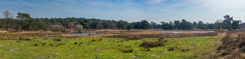 Panoramic photo of the Het Quin nature reserve by Kristof Leffelaer