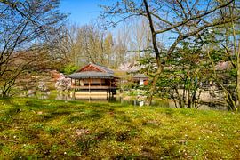 Japanese Garden Hasselt