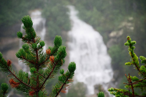 Pitchfork Falls