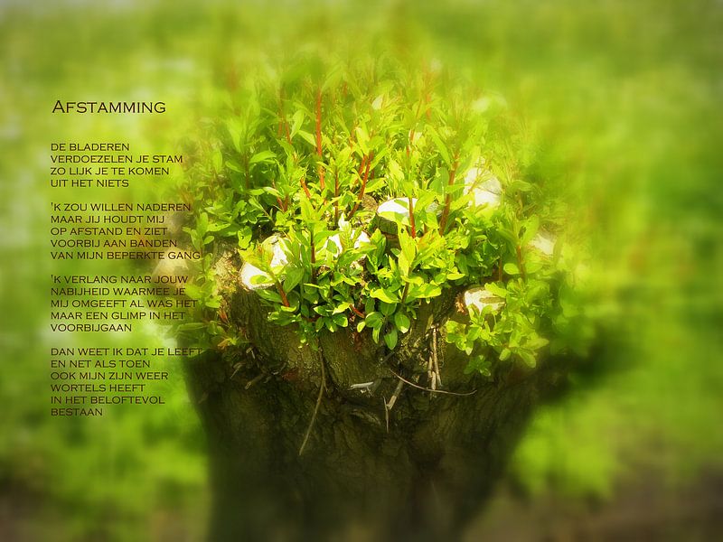Afstamming par Piet Hardendood