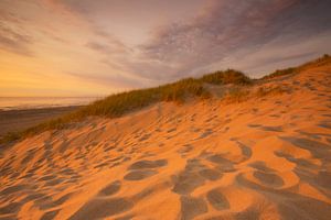 Golden dunes sur Elroy Spelbos Fotografie
