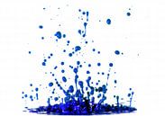 Blaue Farbe spritzt auf einem weißen Hintergrund von Sjoerd van der Wal Fotografie Miniaturansicht