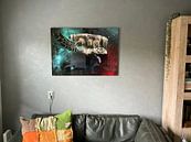 Customer photo: disc world II by Dray van Beeck