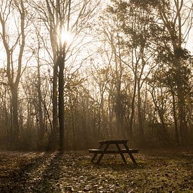 Picknicktisch im Wald von Annelies Cranendonk