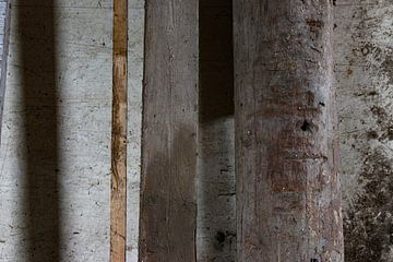 Series Robijnsweg 06 by Marleen Pellikaan