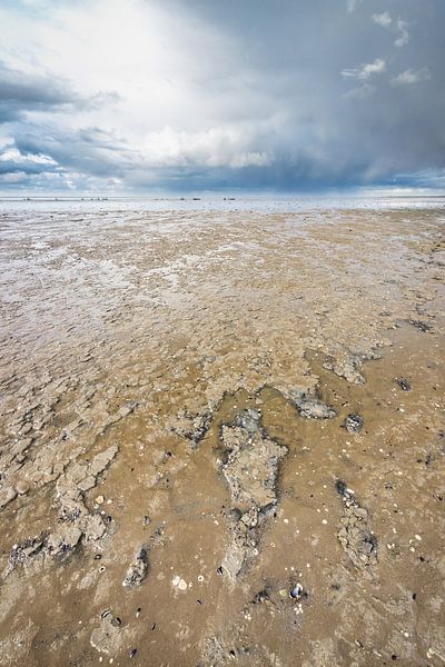 Wattenmeer von Martzen Fotografie