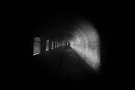 Licht in de Tunnel van Maikel Brands thumbnail