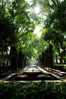 Green fountain in Spain