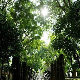 Groene fontein in Spanje van mandy vd Weerd