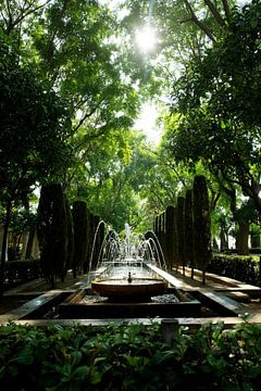 Groene fontein in Spanje van mandy vd Weerd