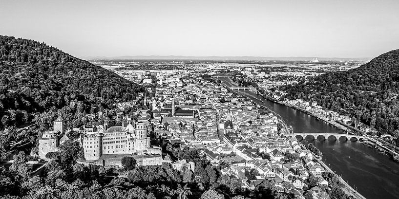Heidelberg mit dem Heidelberger Schloss - Monochrom von Werner Dieterich
