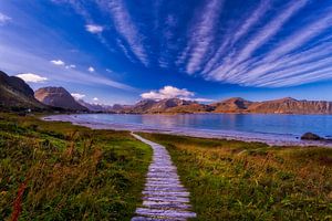 Lofoten - Noorwegen sur Roy Poots