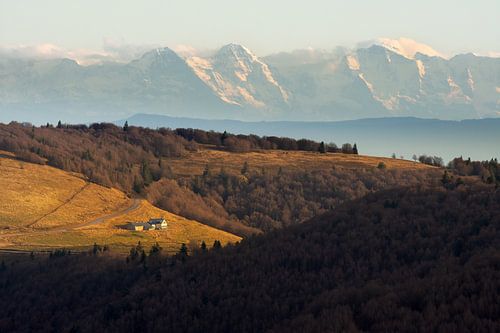 De Vogezen met de Alpen op de achtergrond